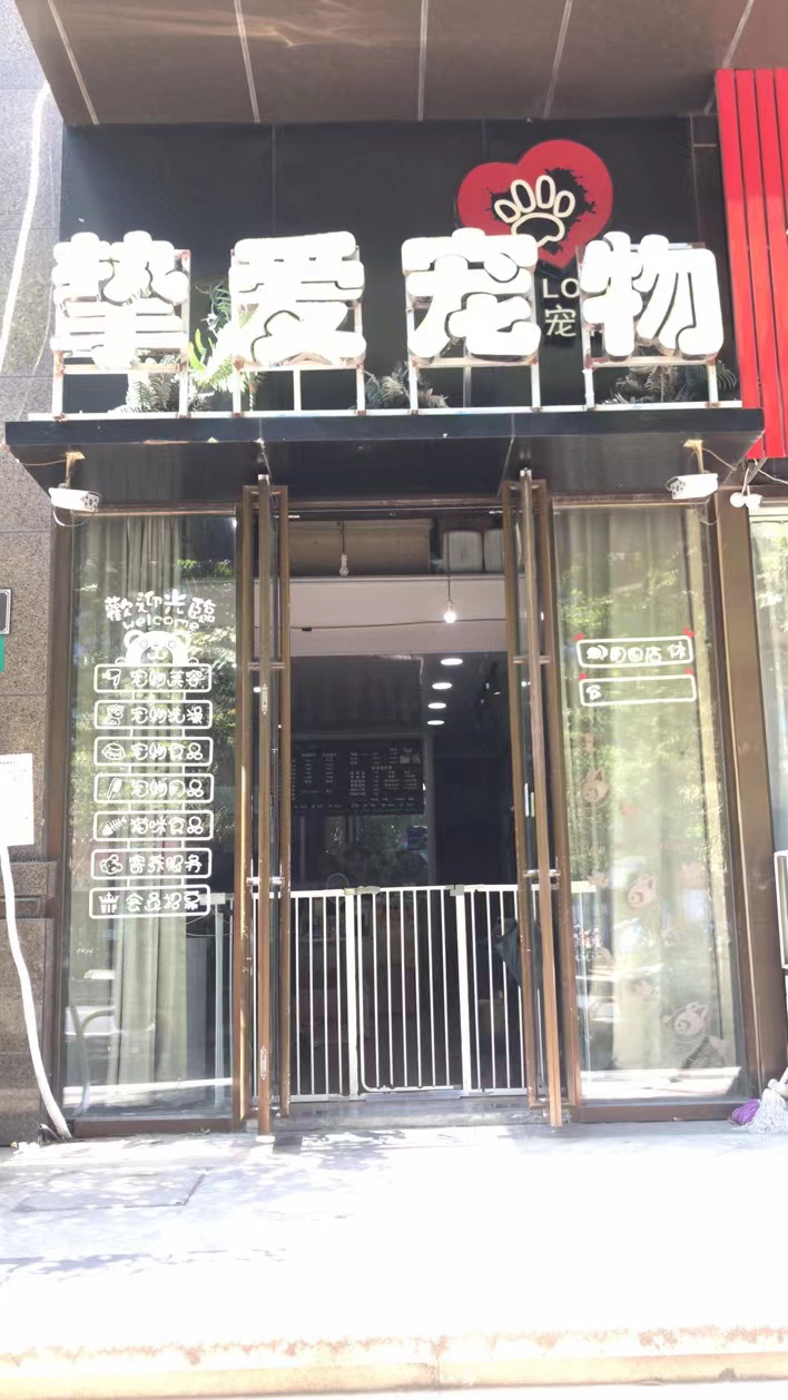 朱小姐