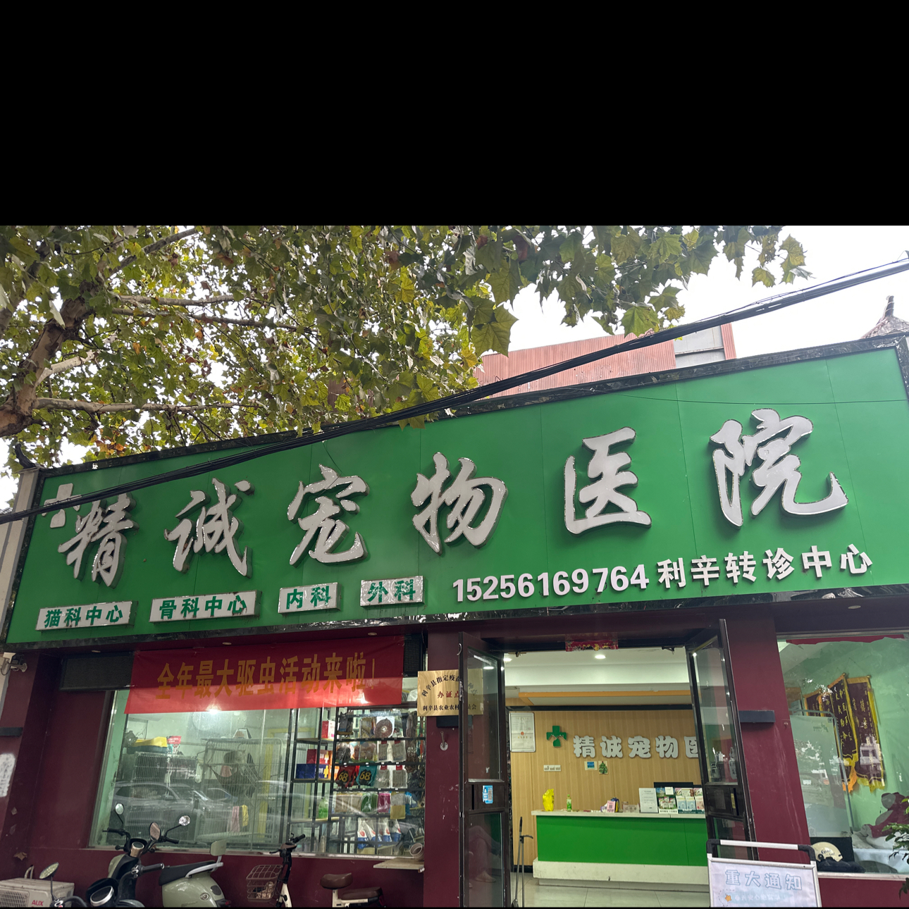刘欣雨
