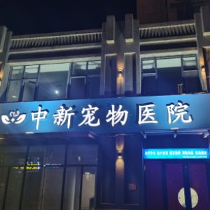 崔德龙