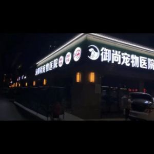 顾先生