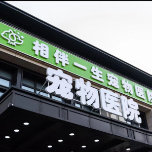 宁波高新区相伴一生宠物医院(个体工商户)