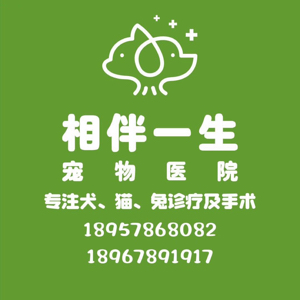 兽医小王