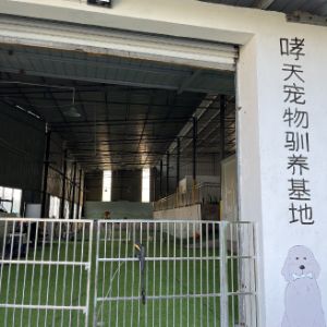 重慶哮天寵物服務(wù)有限公司