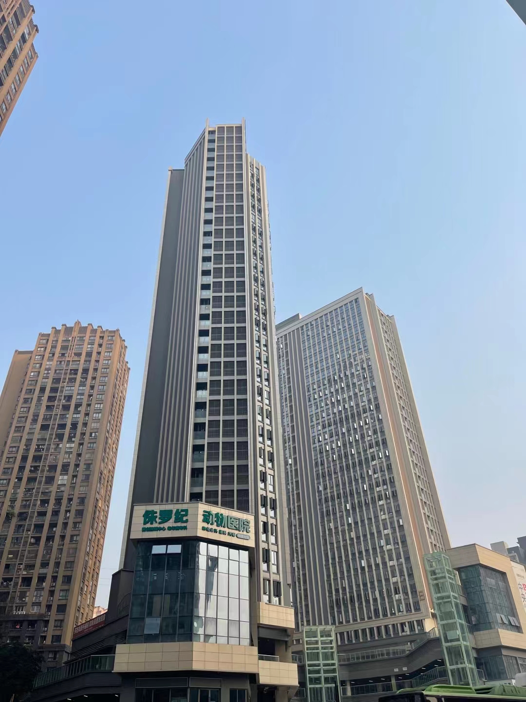 邹游宇