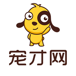 文良艳
