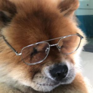 舒
