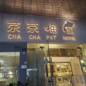 深圳市茶茶喵屋宠物店