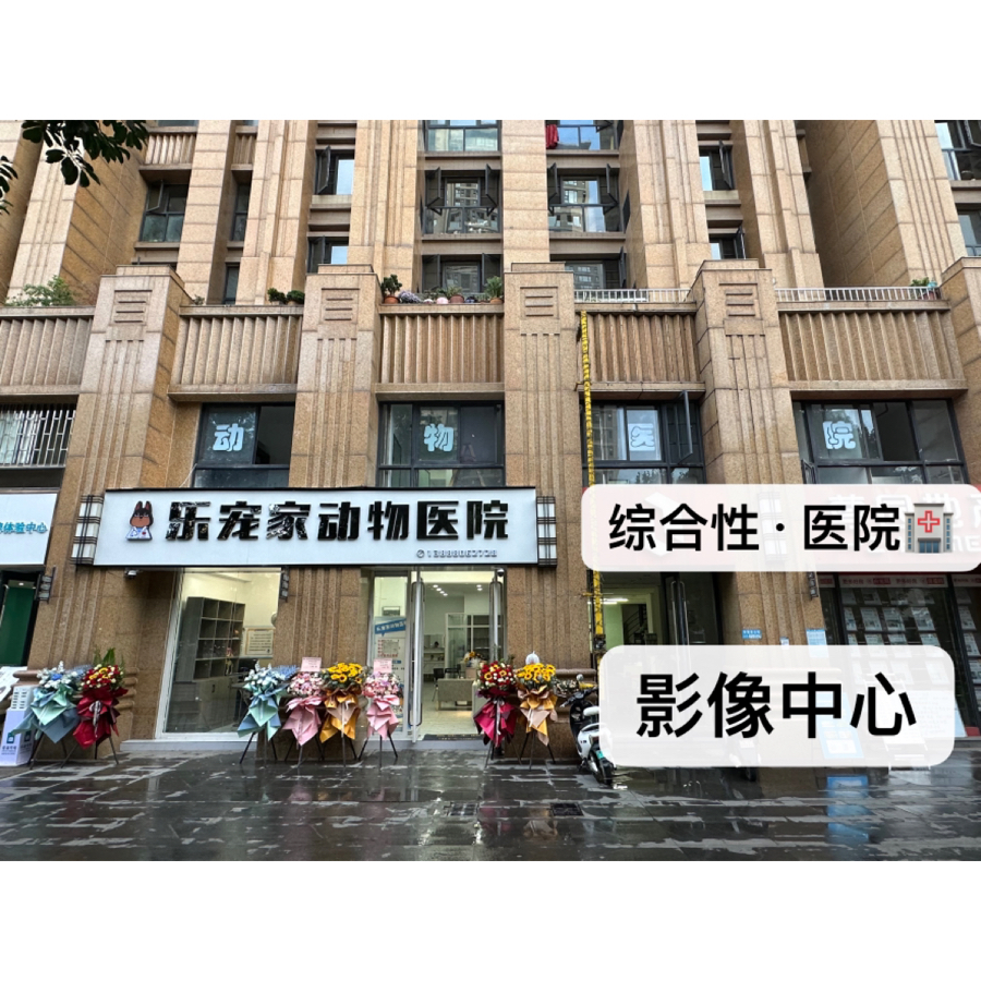 吴先生