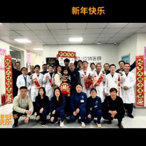 王京涛