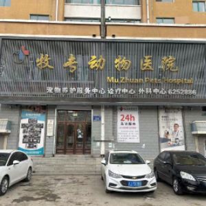 松原市宁江区牧专动物医院