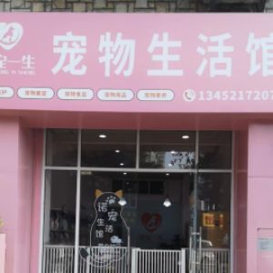 陈女士