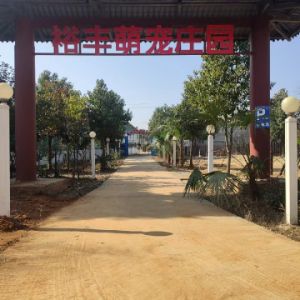 丁先生