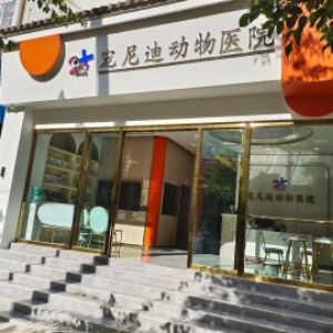 楚雄市宠尼迪动物医院