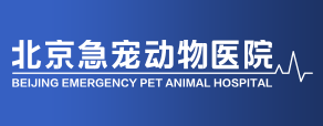 北京急宠动物医院