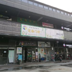 武医生