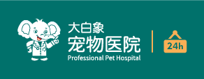 北京大白象宠物医院24小时