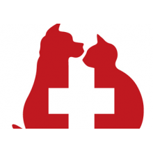 青山湖区贝贝宠物医院