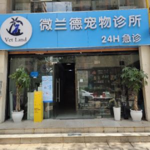 李先生