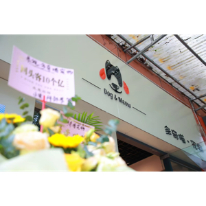 重庆多奇喵宠物服务有限公司