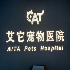 朱加元
