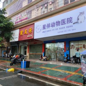 揭阳星伴