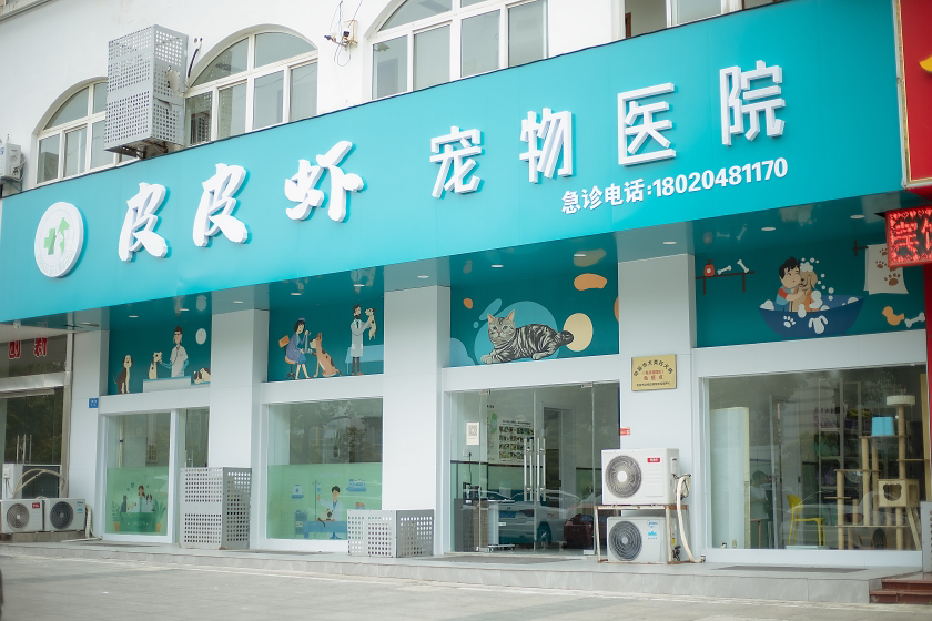 句容市崇明街道皮皮虾宠物医院
