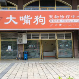 华坪县大嘴狗宠物诊疗中心（个体工商户）