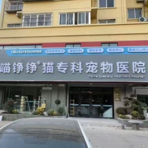 黄聪聪