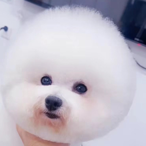 金金