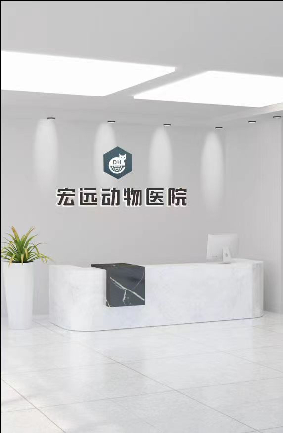女士