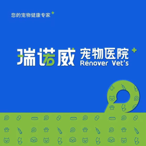 索鑫悦