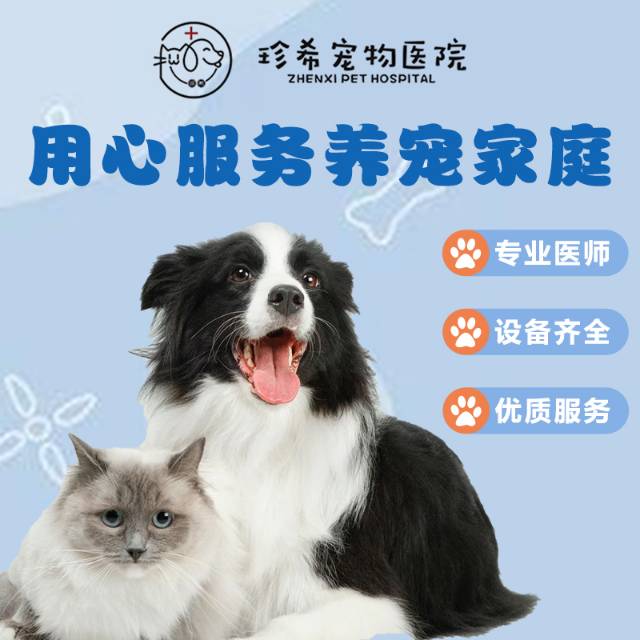 马潇飞