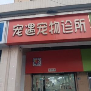 付琪