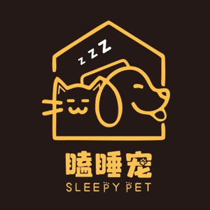 宋先生