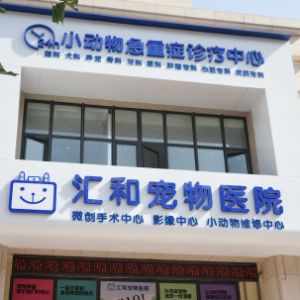 娄栎