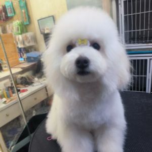 范玉超