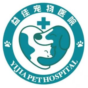 陶晨楠