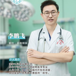 李鹏飞