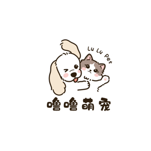 赵聪
