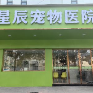 武汉立腾星辰宠物医院有限公司