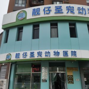 北京靓仔圣宠动物医院有限公司