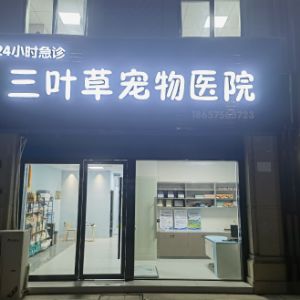 蒋先生