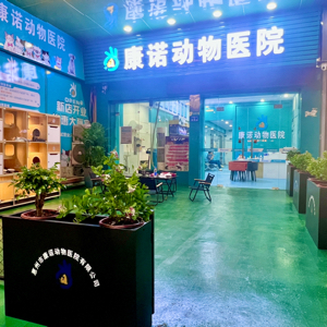 王童