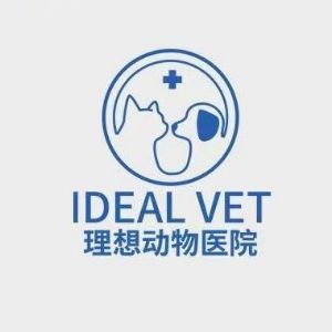 邢先生