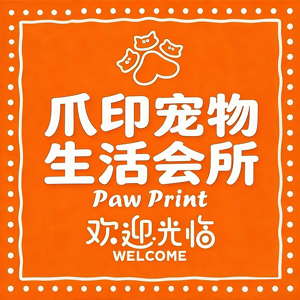 李晓龙