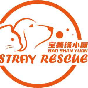 磊子