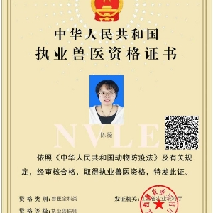 陈薇