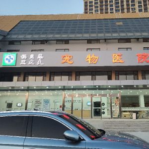 运河区福艾特宠物服务中心