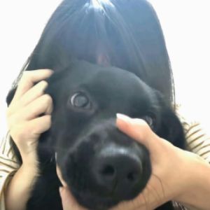 杜阳阳