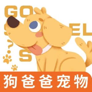 胡玲华